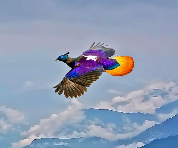 image-20260204145418-6