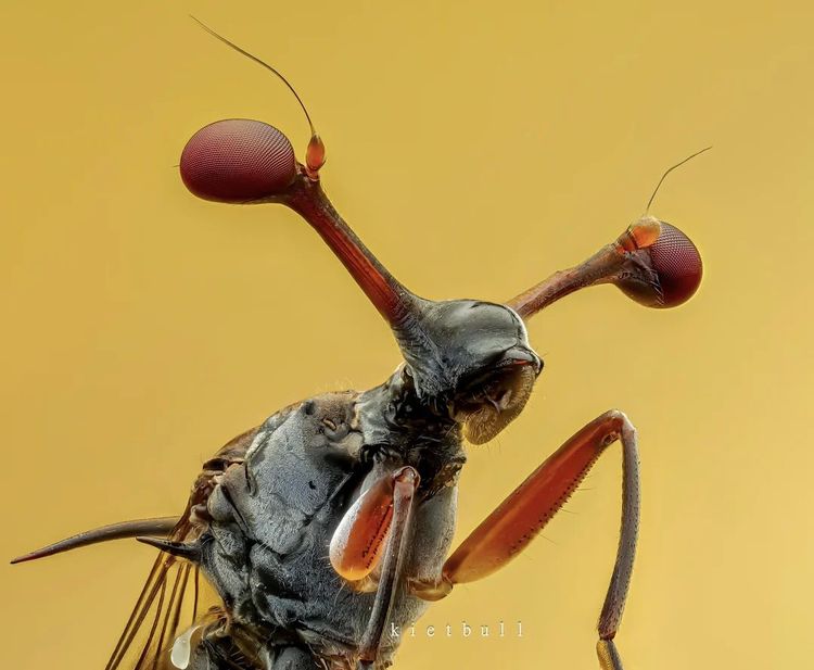 image-20260204145440-13