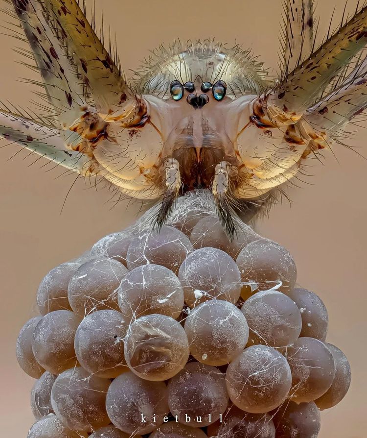 image-20260204145455-18