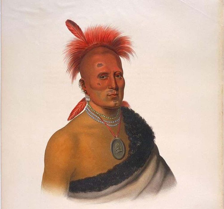 image-20260204231123-6