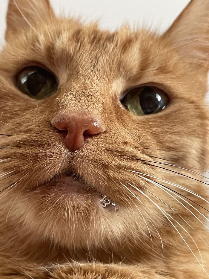 image-20260205173640-12