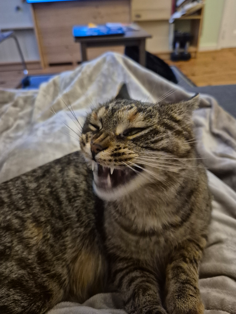 image-20260205173649-15