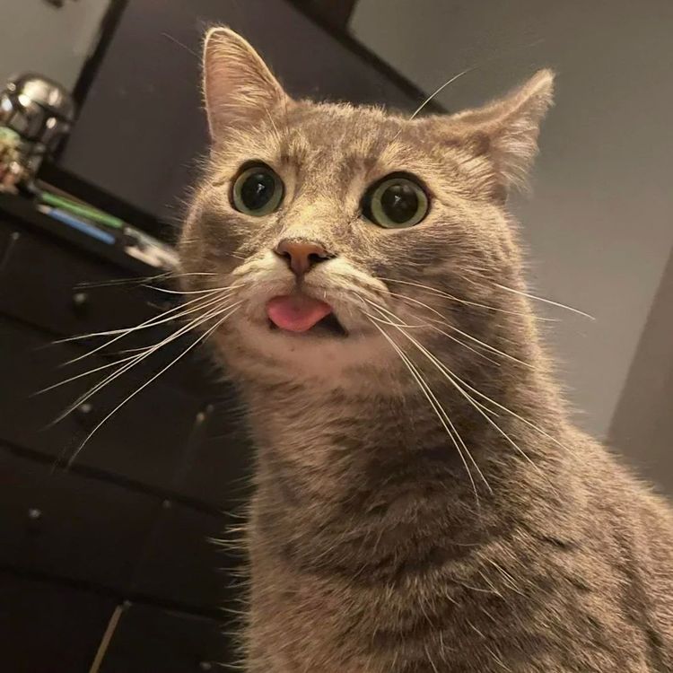 image-20260205173705-17