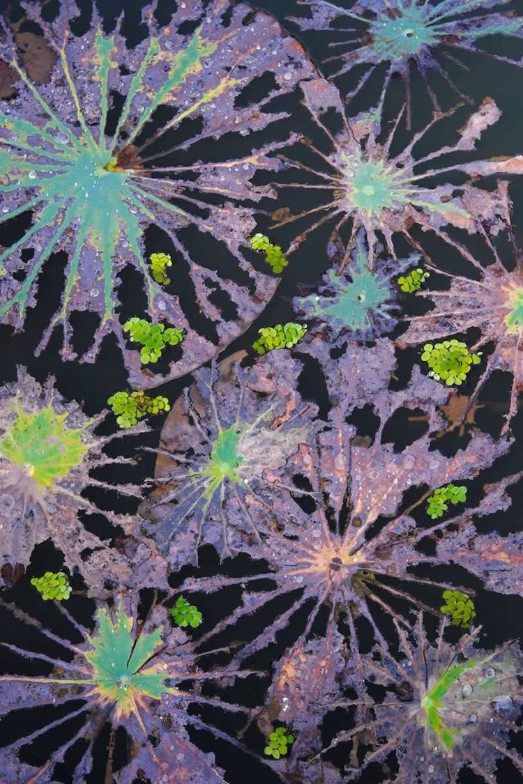 image-20260206153602-10