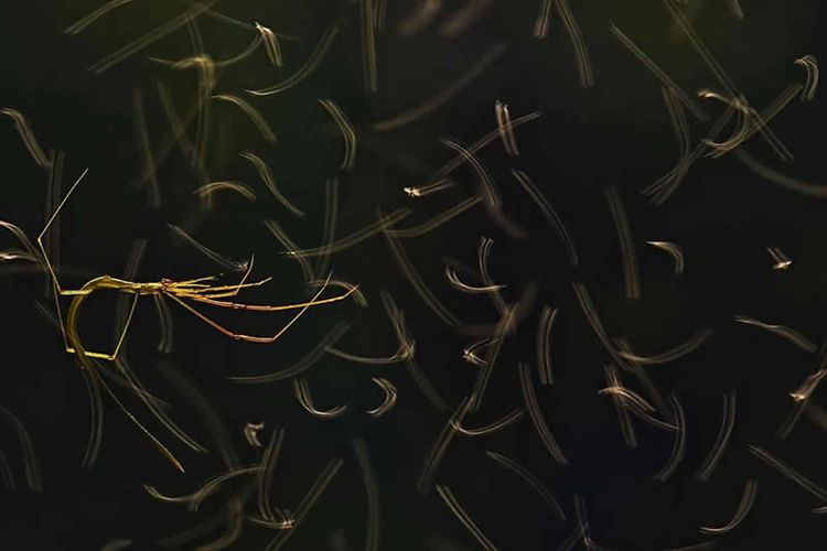 image-20260206153621-15