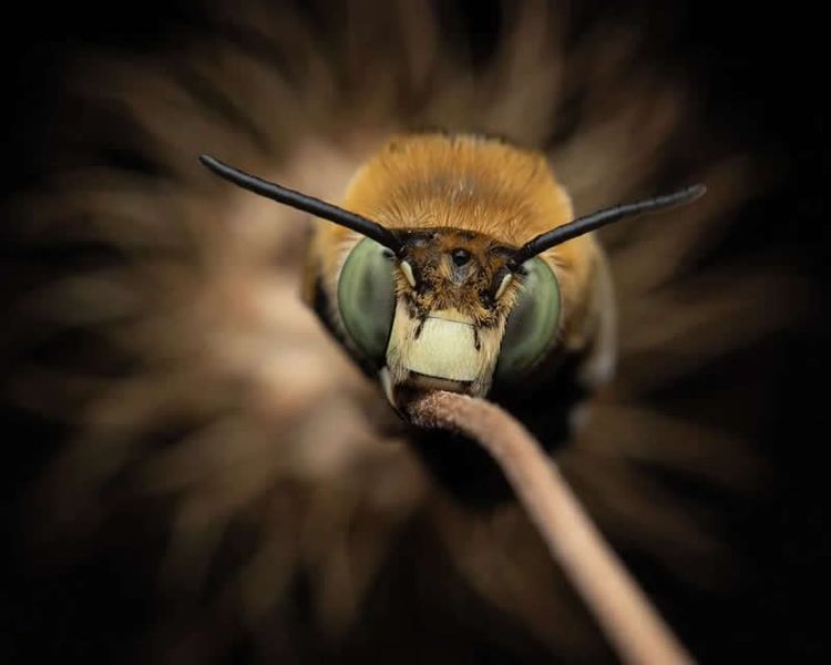 image-20260206153632-18