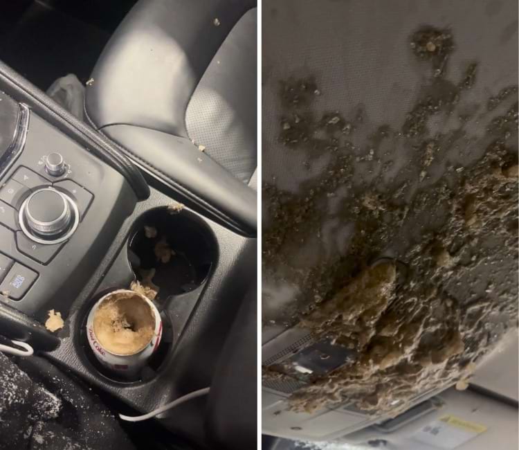 image-20260209231928-13