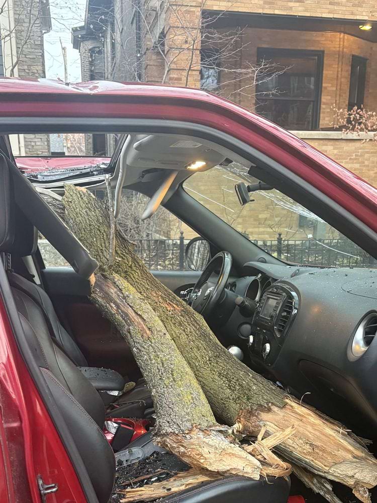 image-20260209231946-16