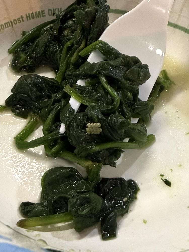 image-20260209232008-19