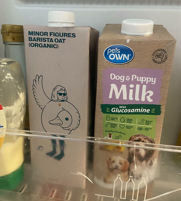 image-20260210174950-9