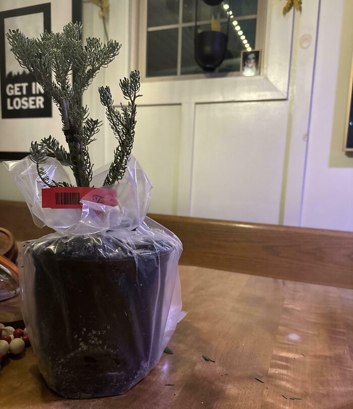 image-20260210175007-14