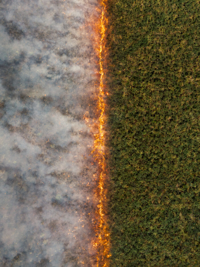 image-20260212120556-4