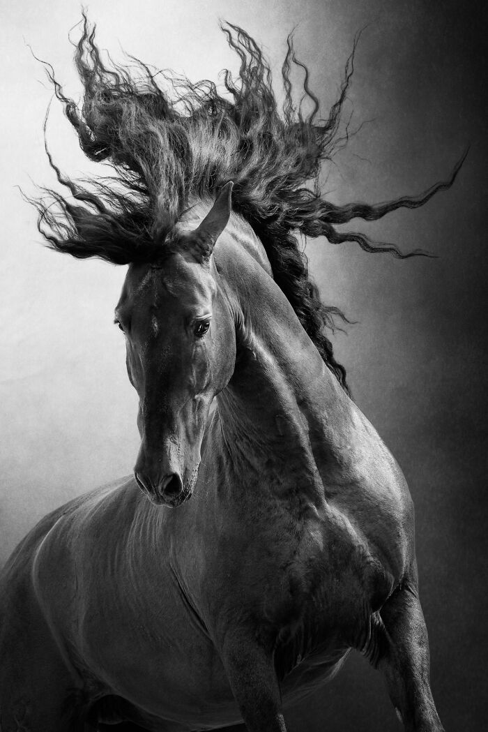 image-20260212120603-6