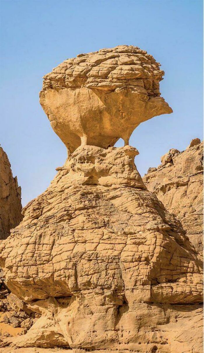 image-20260212145344-5