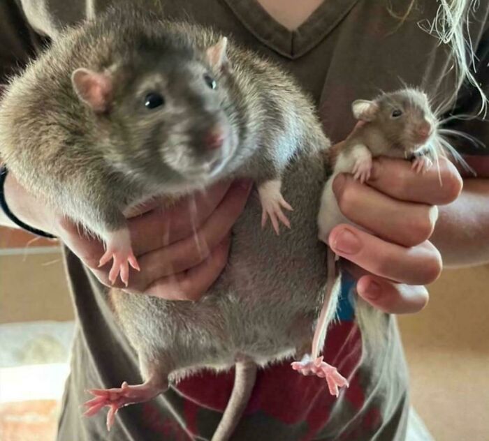 image-20260212145358-9