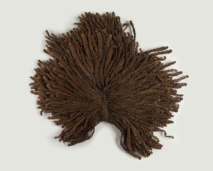 image-20260217115043-6