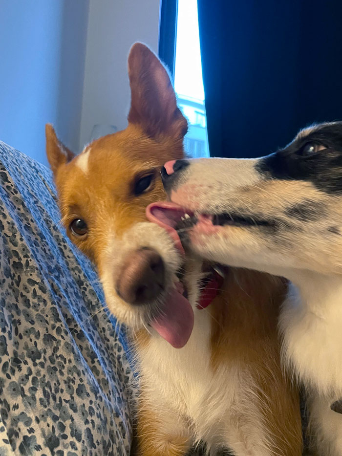 image-20260217122146-1