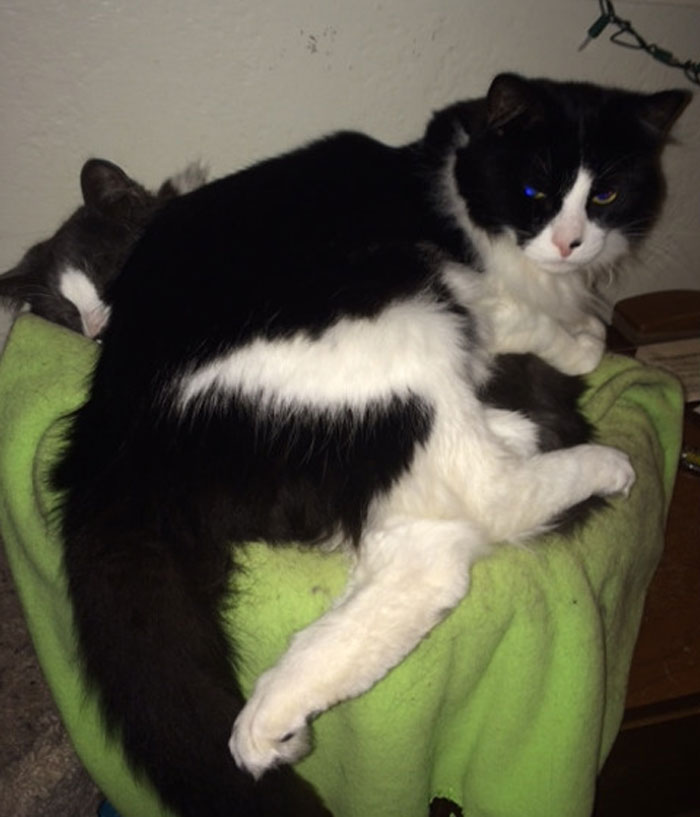 image-20260217122149-2