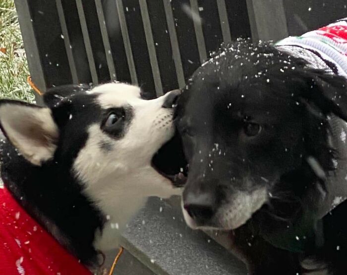 image-20260217122159-5