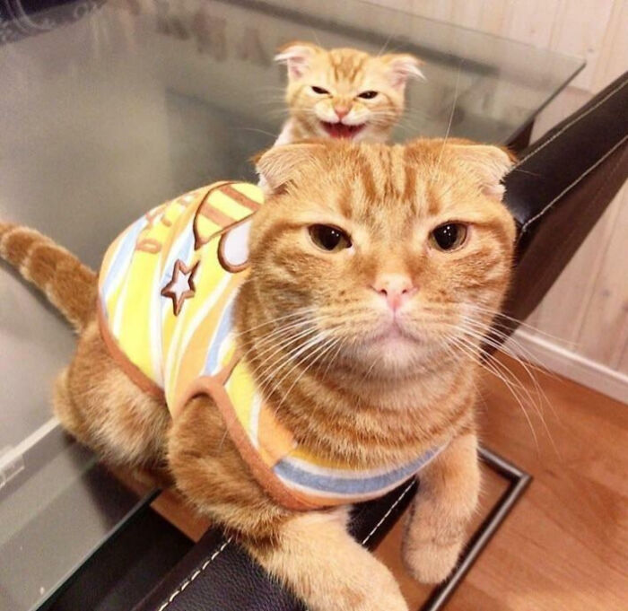 image-20260217122202-6