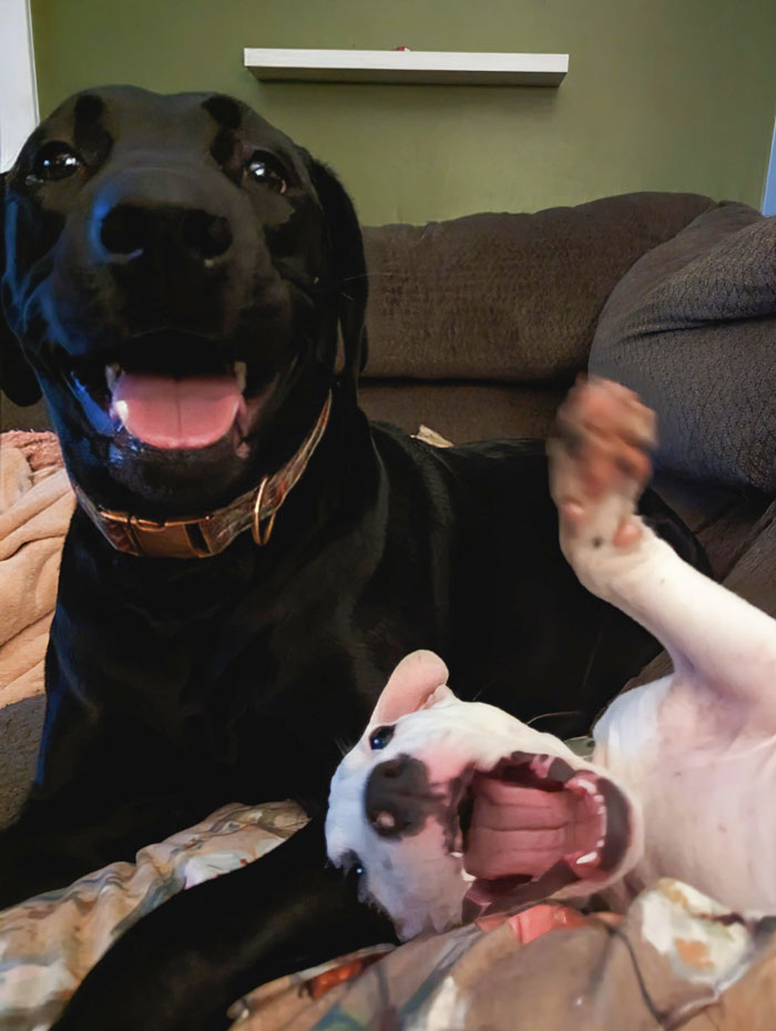 image-20260217122206-7