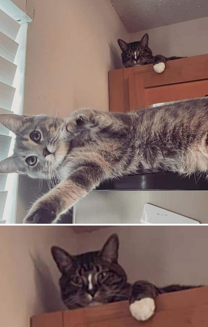 image-20260217122210-8