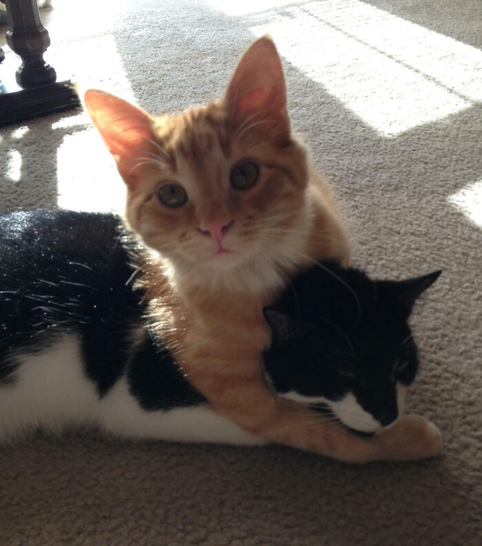 image-20260217122225-11