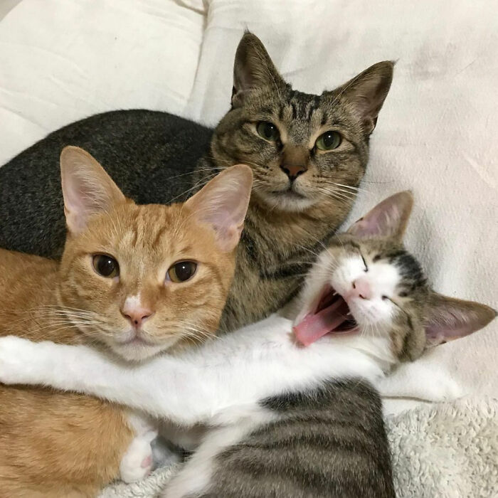 image-20260217122227-12