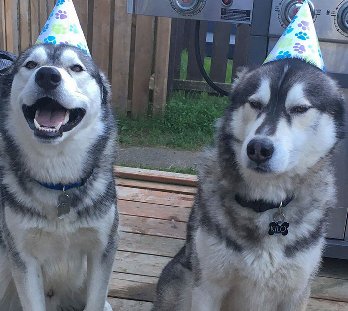 image-20260217122234-14