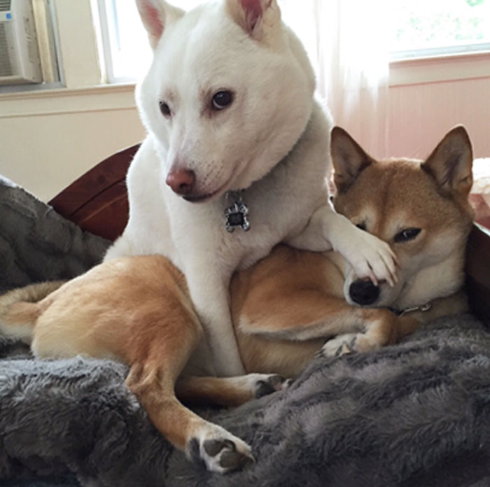 image-20260217122236-15