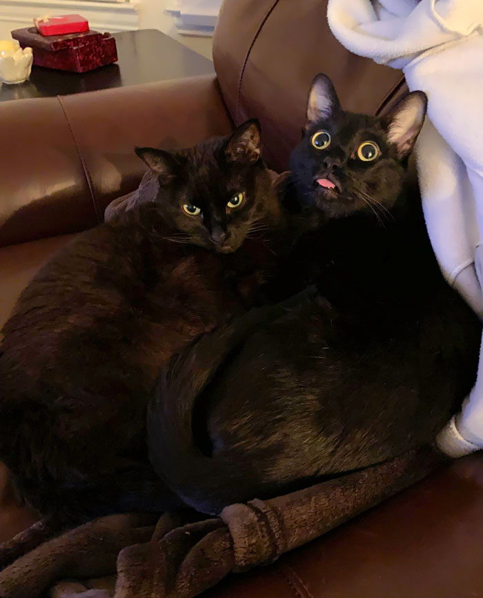 image-20260217122242-17