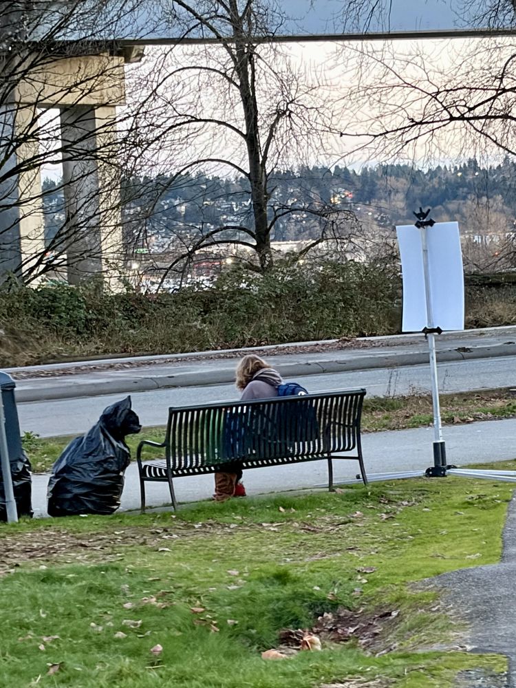 image-20260219104458-7