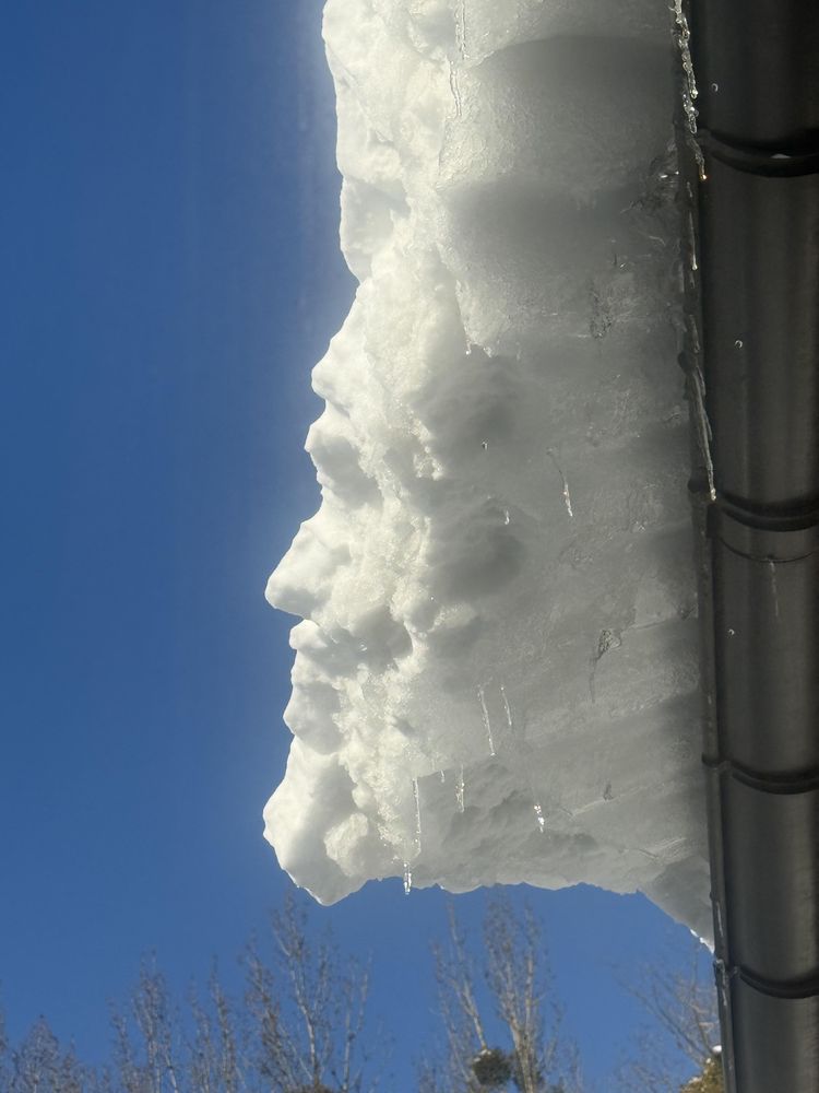 image-20260219104507-9