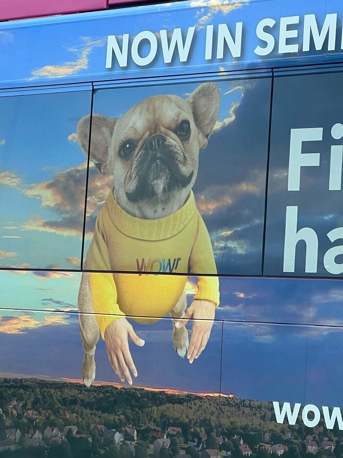 image-20260219115947-6