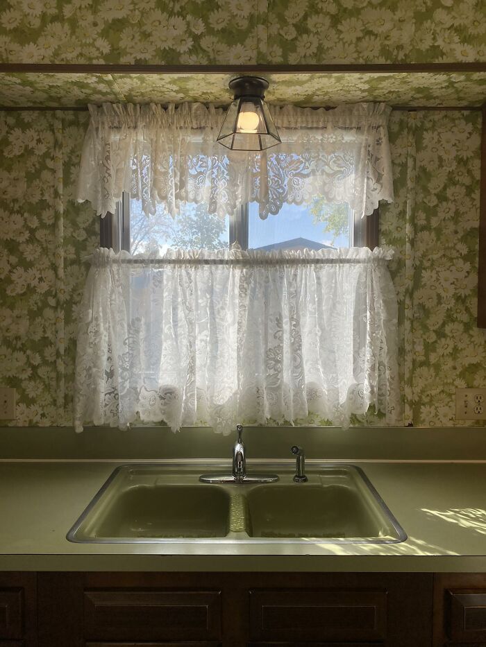 image-20260219122347-1