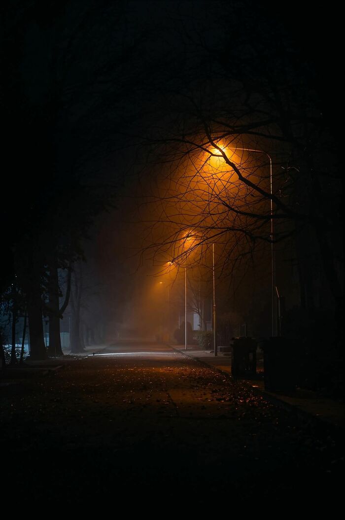 image-20260219122349-2