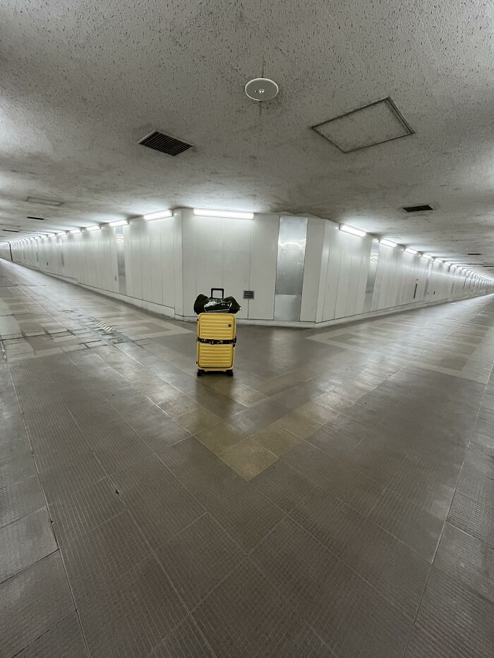 image-20260219122359-5