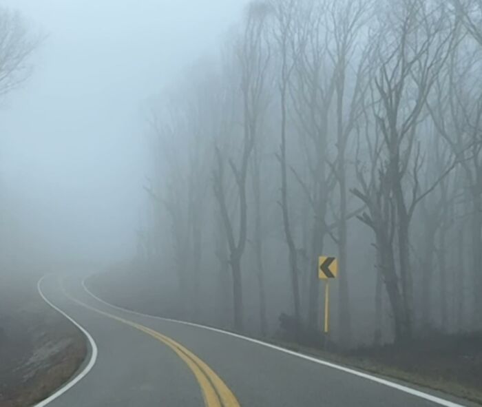 image-20260219122417-10