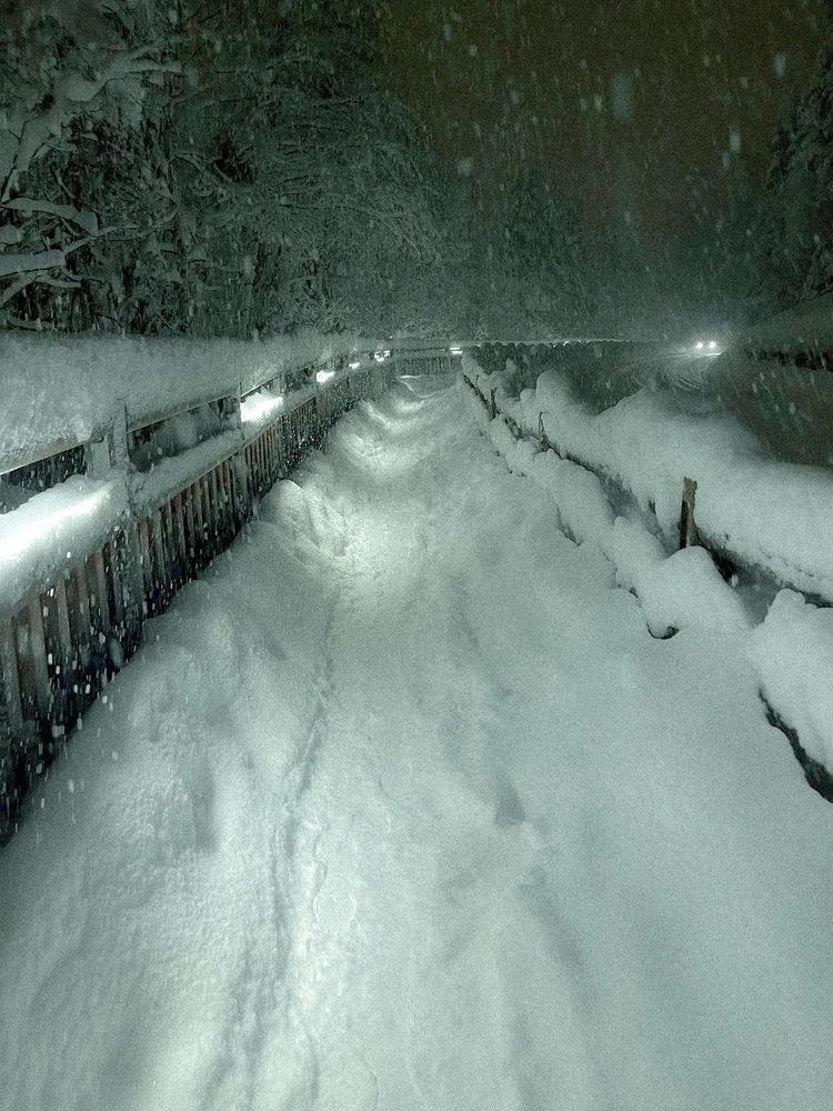 image-20260219122424-13