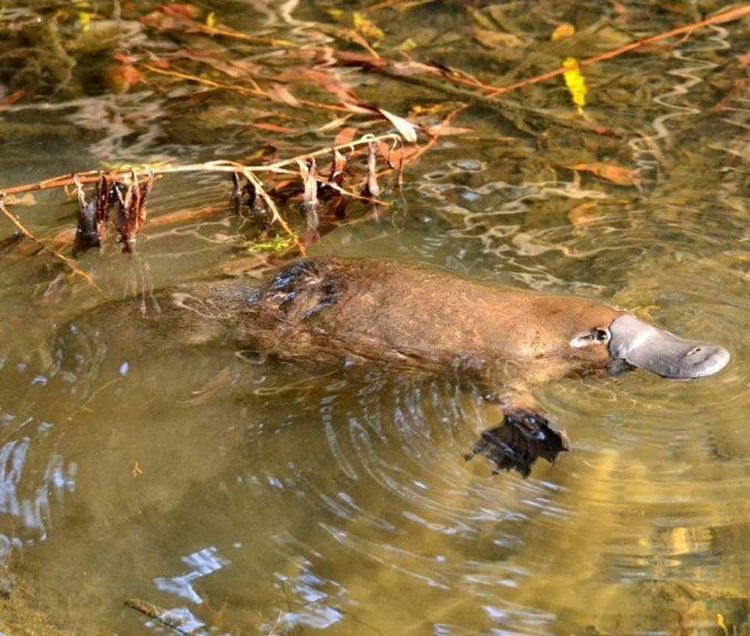 image-20260219125649-1