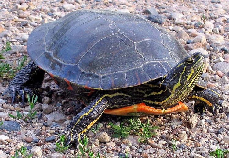 image-20260219125654-2