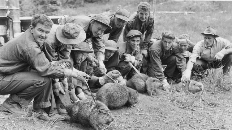 image-20260219131341-7