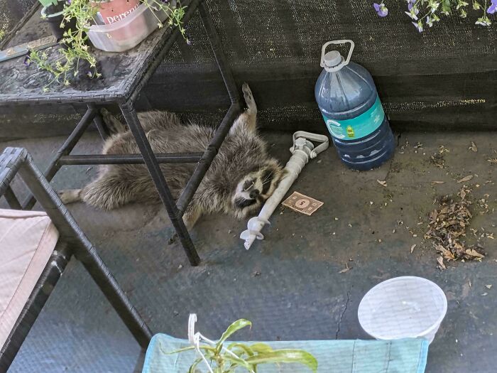 image-20260220163826-5