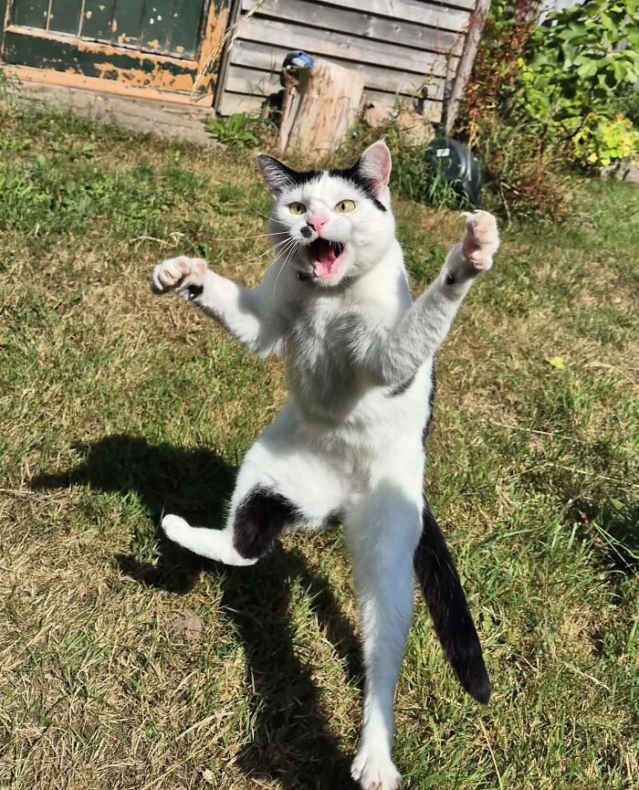 image-20260220163829-6