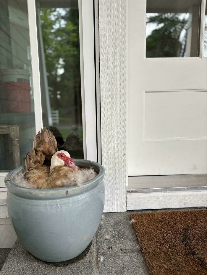 image-20260220163834-8