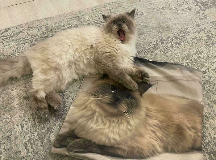 image-20260220163838-9