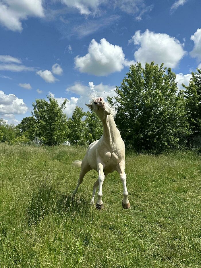 image-20260220163844-11