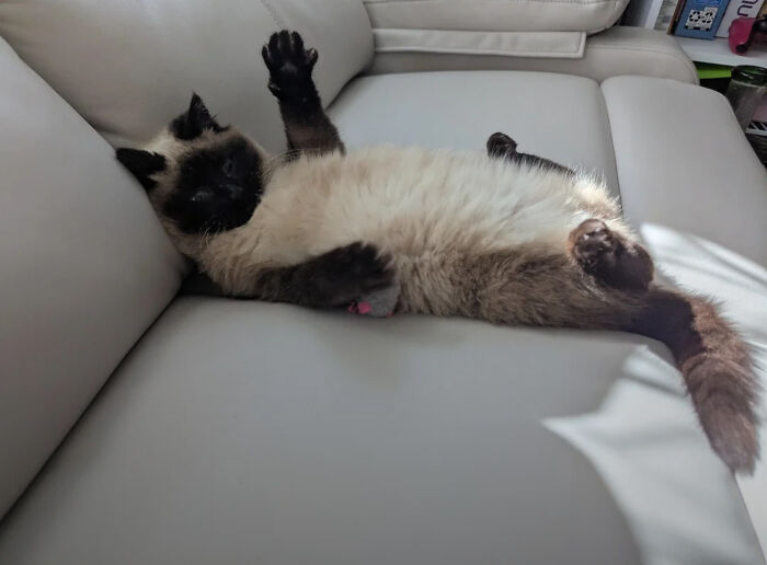 image-20260220163847-12