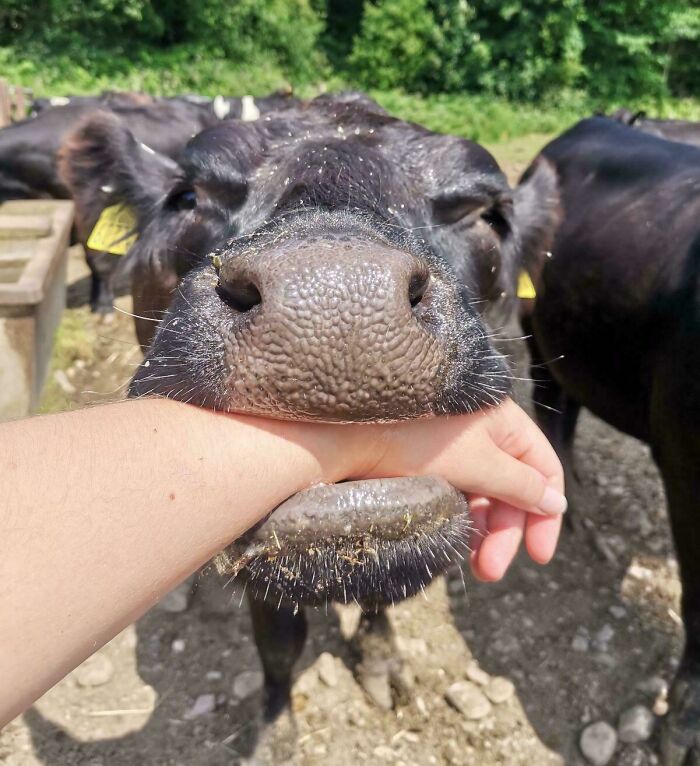 image-20260220163856-15