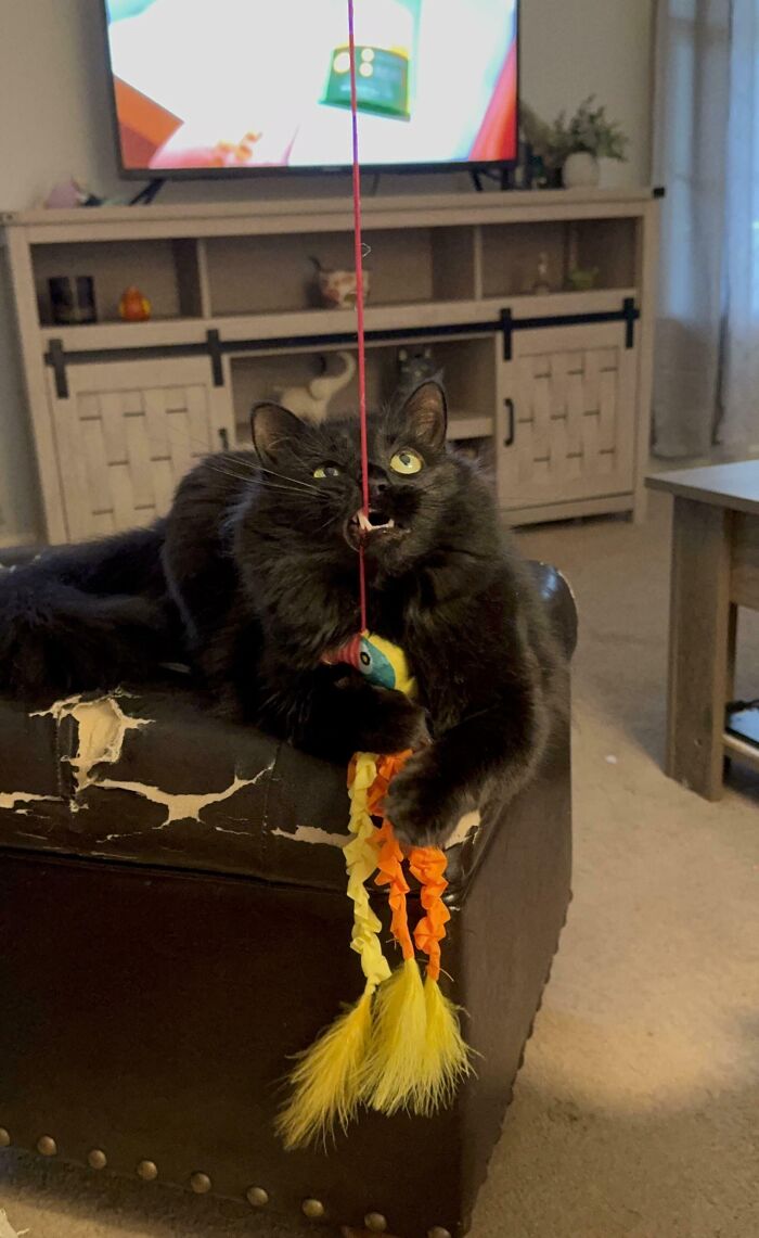 image-20260220163858-16